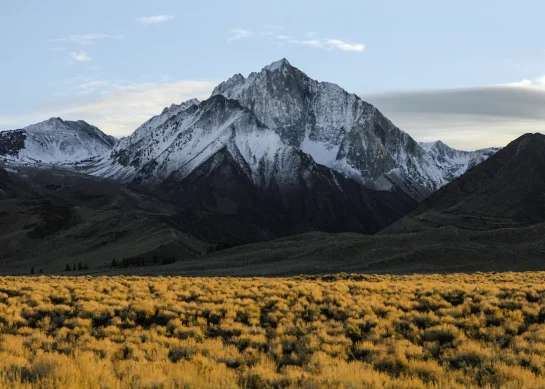 A Journey Through Time | Uncovering the History and Origins of Reiki