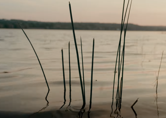 Clearing The Way To Prosperity: Dissolving Reiki Business Blocks