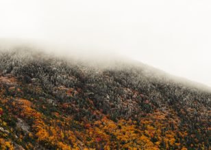 Dissolving Limiting Beliefs in Your Reiki Business Journey 