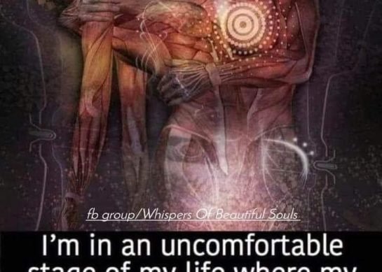 Grief 2 years in-to those that are new to the path