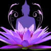 All in the Mind Personal Development