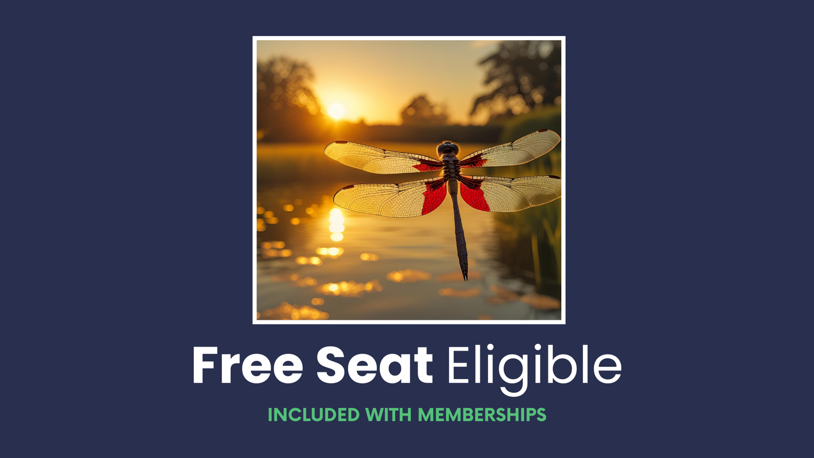 Free Seat Eligible