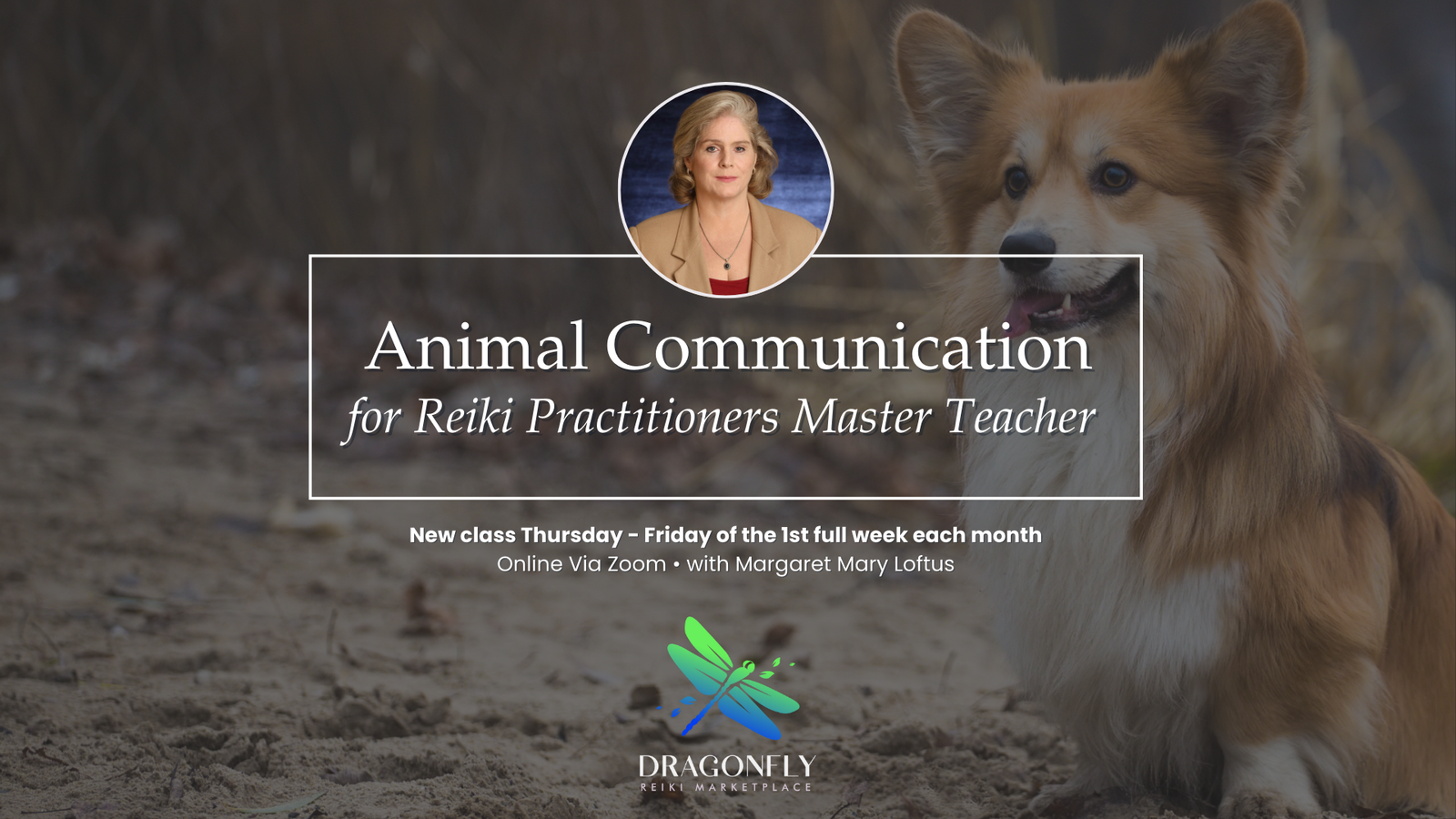 Animal Communication for Reiki Practitioners Master Teacher