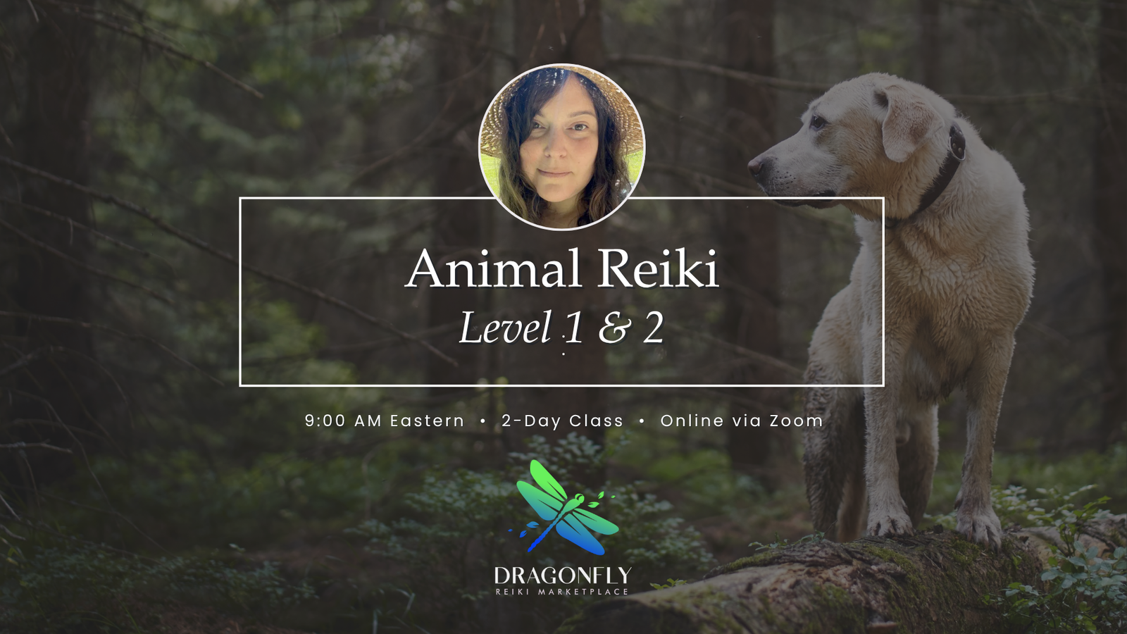 Animal Reiki Level 1 & 2