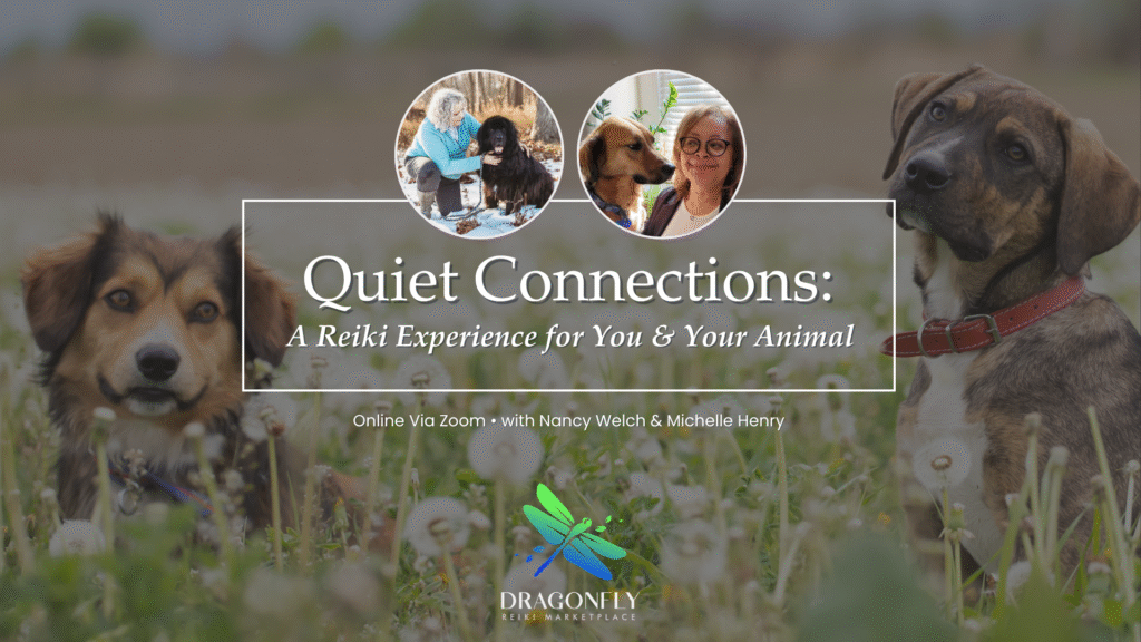 Quiet Connections A Reiki Experience for You & Your Animal